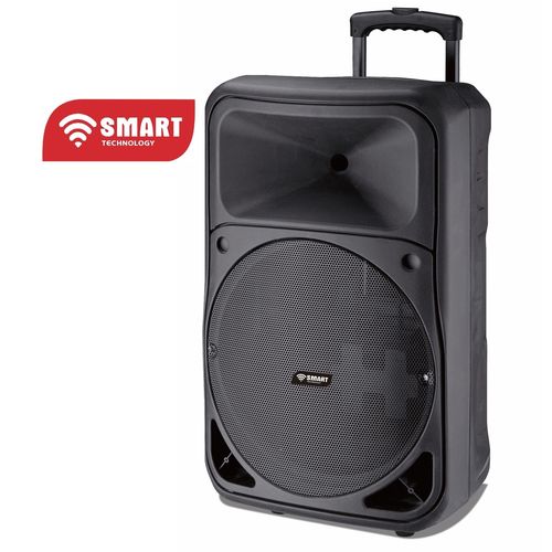 SMART TECHNOLOGY Haut-Parleur Bluetooth De Fête (STHP-1515E) Avec 2 Micros + Commande / P.M.P.O POWER 10 000W / Noir