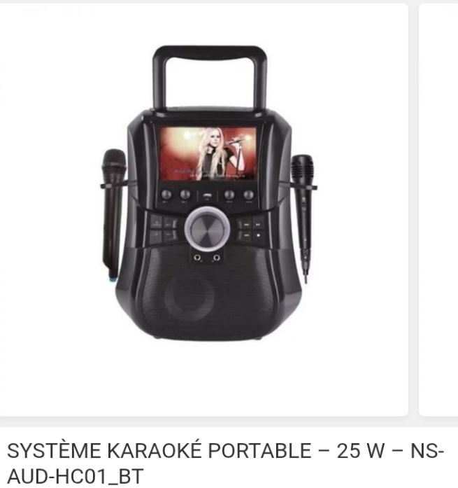 Karaoke portable