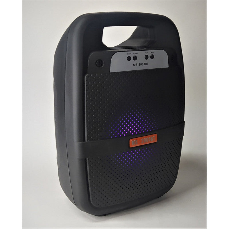 Speaker Bluetooth 2001BT - 8 pouces