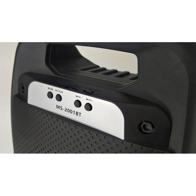 Speaker Bluetooth 2001BT - 8 pouces